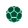 戈尔尼克科宁