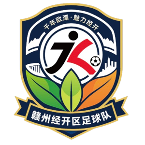 赣州经开区队队标
